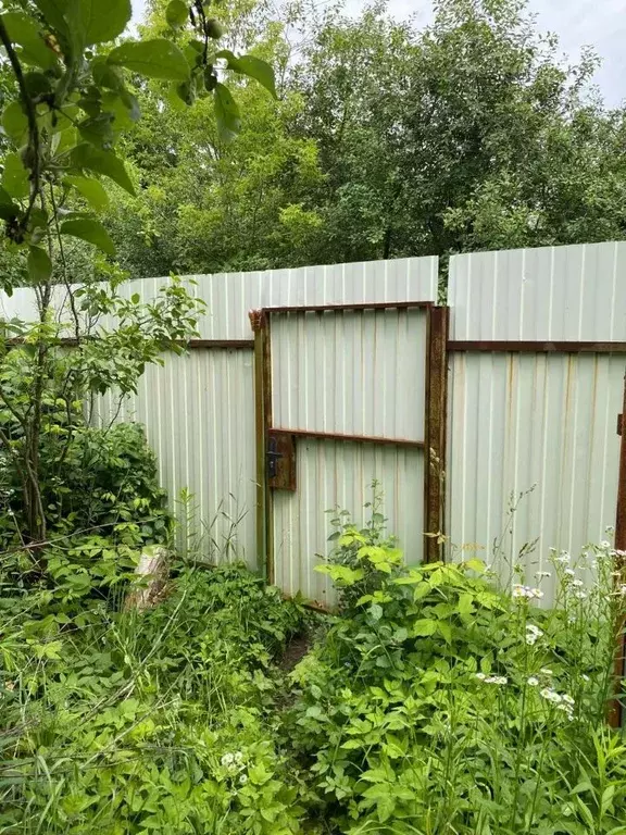 Участок в Рязанская область, Рязань Восход СТ, 67 (5.8 сот.) - Фото 2