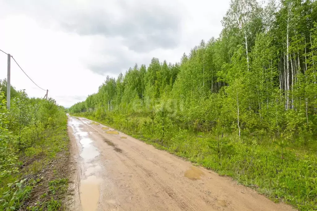 Участок в Новосибирская область, Новосибирский район, Новолуговской ... - Фото 1