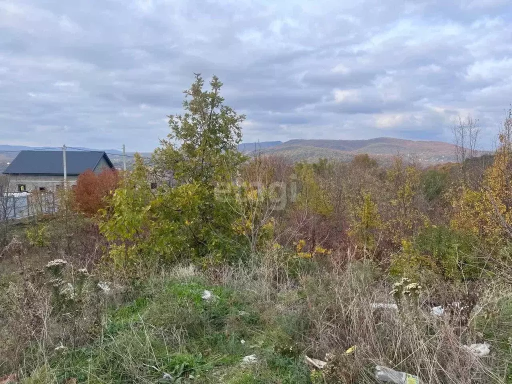 Участок в Краснодарский край, Новороссийск городской округ, с. ... - Фото 1