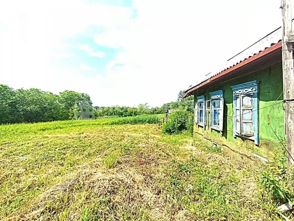 Дом в Амурская область, Белогорский муниципальный округ, с. Амурское ... - Фото 2