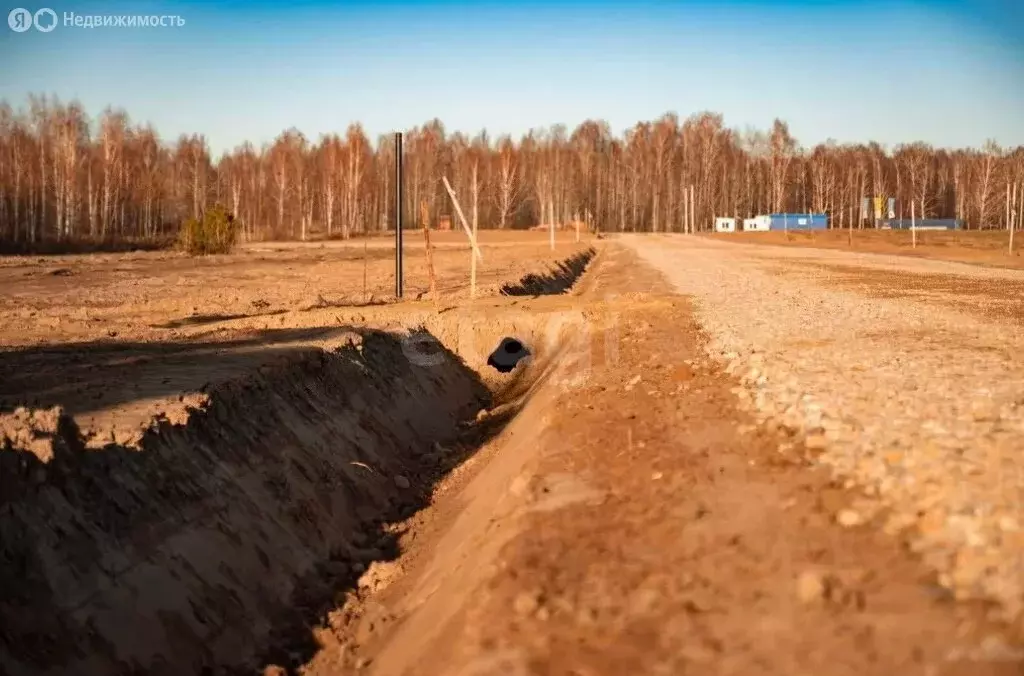 Участок в Тюменская область, Нижнетавдинский муниципальный округ, КП ... - Фото 2