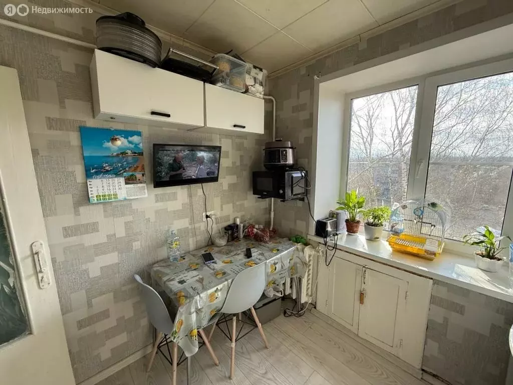 2-комнатная квартира: Заволжье, проспект Дзержинского, 35 (45.6 м) - Фото 2