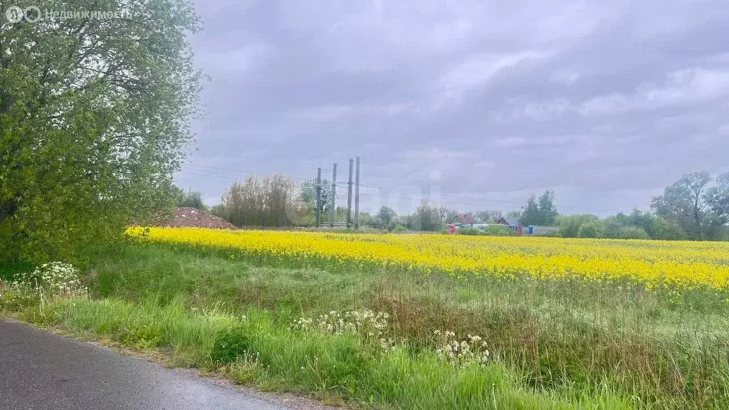 Участок в Калининградская область, Гурьевск (6 м) - Фото 1