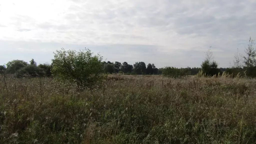 Участок в Московская область, Рузский муниципальный округ, д. ... - Фото 0