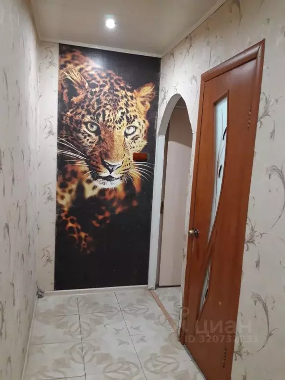 2-к кв. Орловская область, Орел Советская ул., 75 (45.9 м) - Фото 1