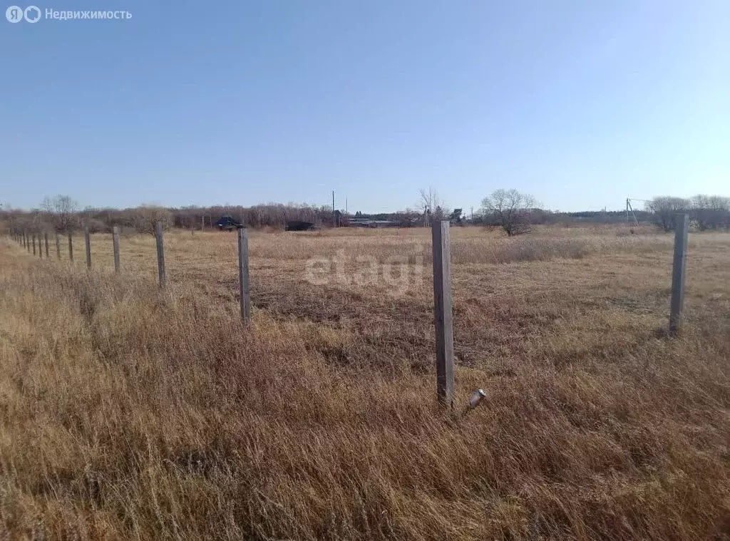 Участок в Амурская область, село Ивановка (75 м) - Фото 0