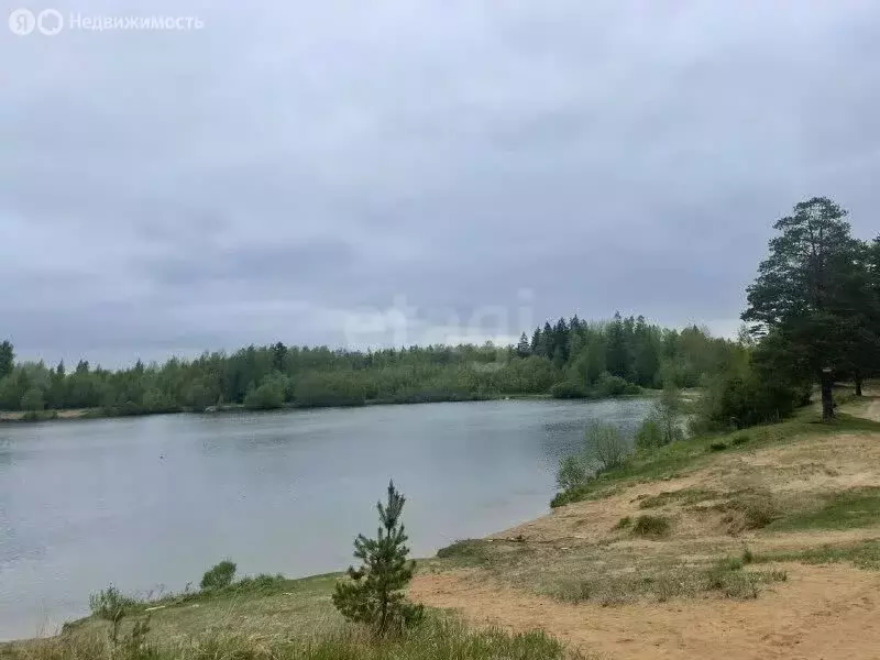 Участок в Романовское сельское поселение, территория участков Аэродром ... - Фото 1
