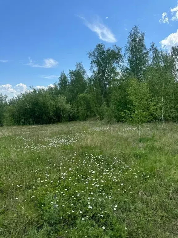 Участок в Саха (Якутия), Якутск ул. Березовая Роща (7.7 сот.) - Фото 1