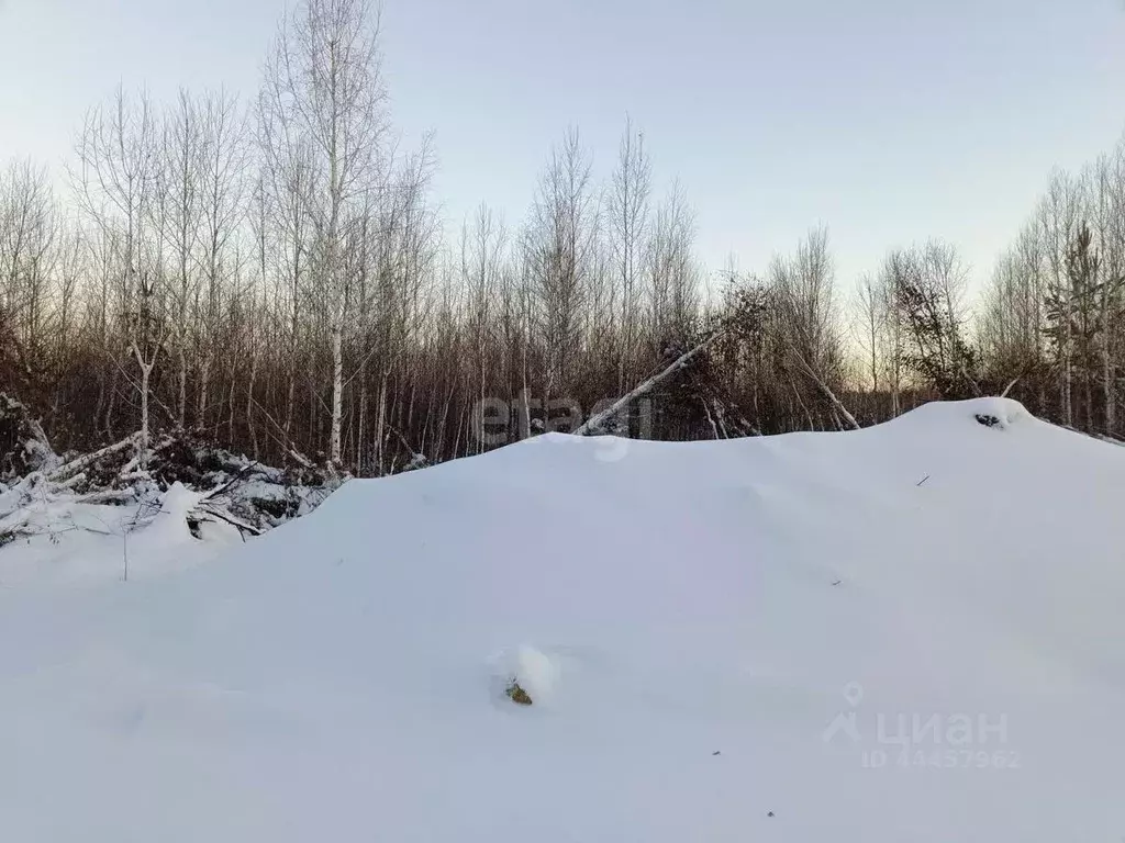 Участок в Челябинская область, Сосновский район, с. Кременкуль  (13.9 ... - Фото 0