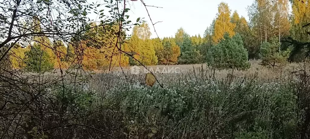 Участок в Владимирская область, Судогодский муниципальный округ, ... - Фото 1