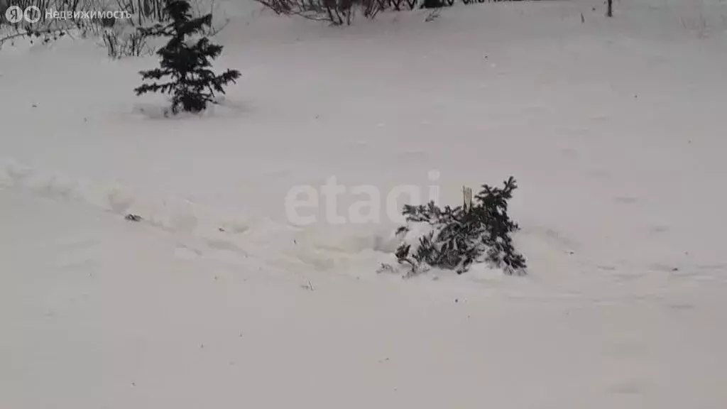 Участок в село Викулово, улица Ленина (7 м) - Фото 1