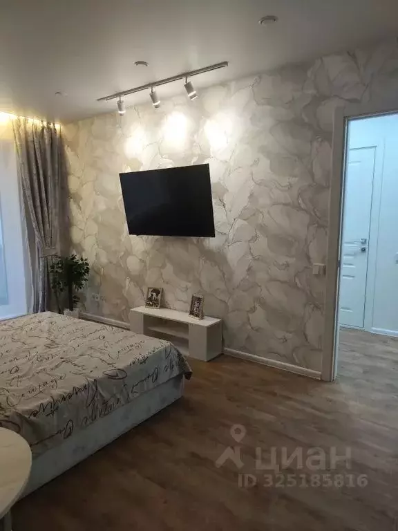 1-к кв. Псковская область, Псков Рижский просп., 65 (32.0 м) - Фото 1