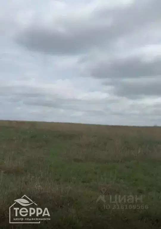 Участок в Крым, Ленинский район, Семисотское с/пос, с. Каменское  (6.0 ... - Фото 1