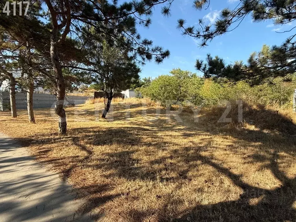 Участок в Севастополь ул. Горпищенко, 109 (10.0 сот.) - Фото 1