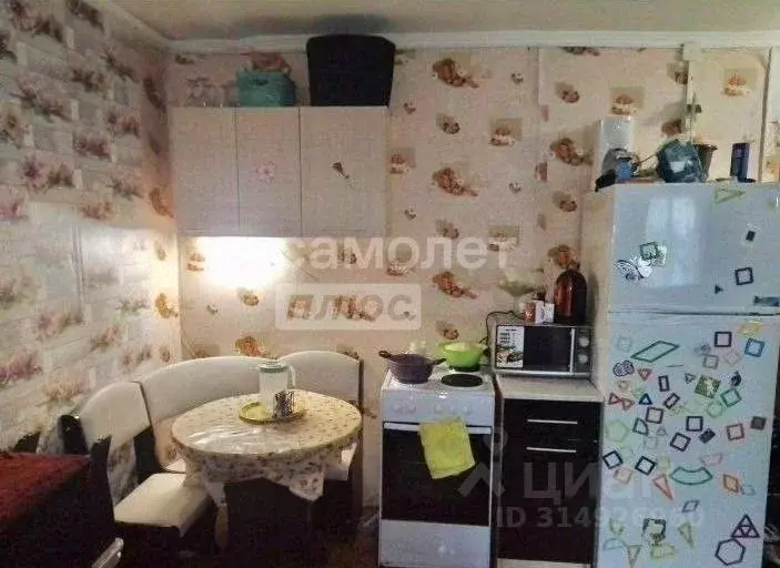Комната Нижегородская область, Бор ул. Чугунова, 13 (24.0 м) - Фото 0
