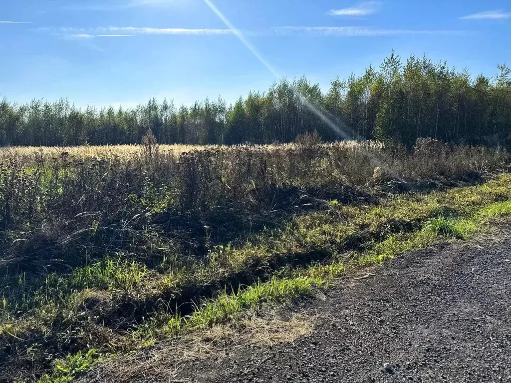 Участок в Московская область, Раменский муниципальный округ, Оттепель ... - Фото 1
