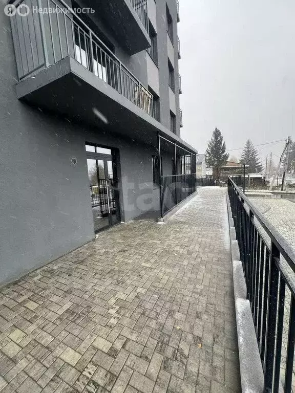 Помещение свободного назначения (38.4 м) - Фото 2