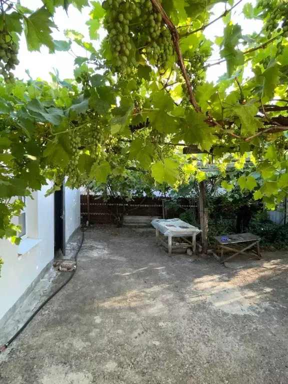 Дом в Крым, Керчь ул. Элеваторная (39 м) - Фото 2