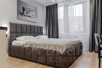 1-к кв. Санкт-Петербург просп. Энергетиков, 2к2 (25.0 м) - Фото 1