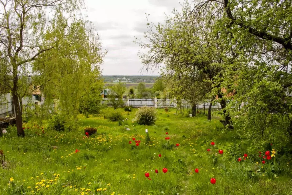 Участок в Калужская область, Калуга городской округ, д. Желыбино  ... - Фото 0