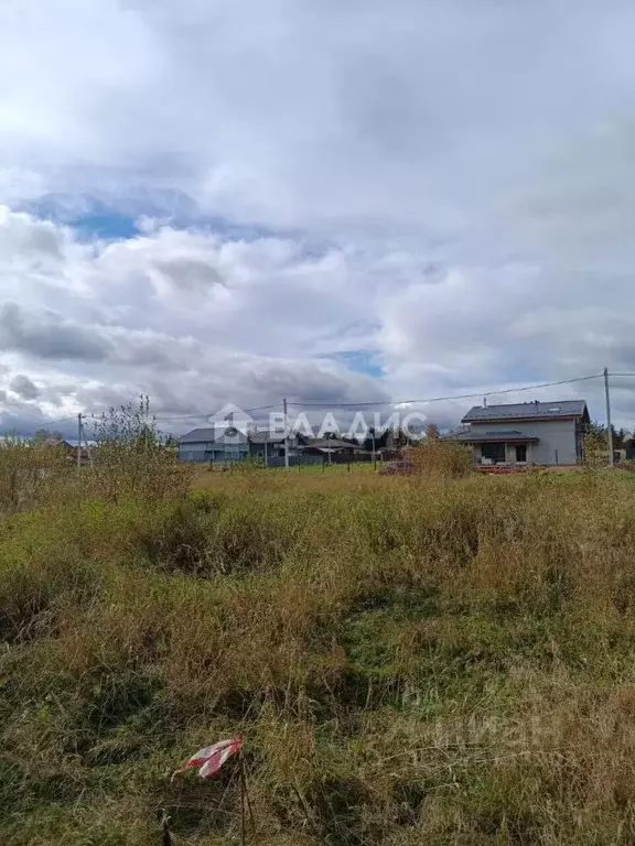 Участок в Ленинградская область, Ломоносовский район, Пениковское ... - Фото 1