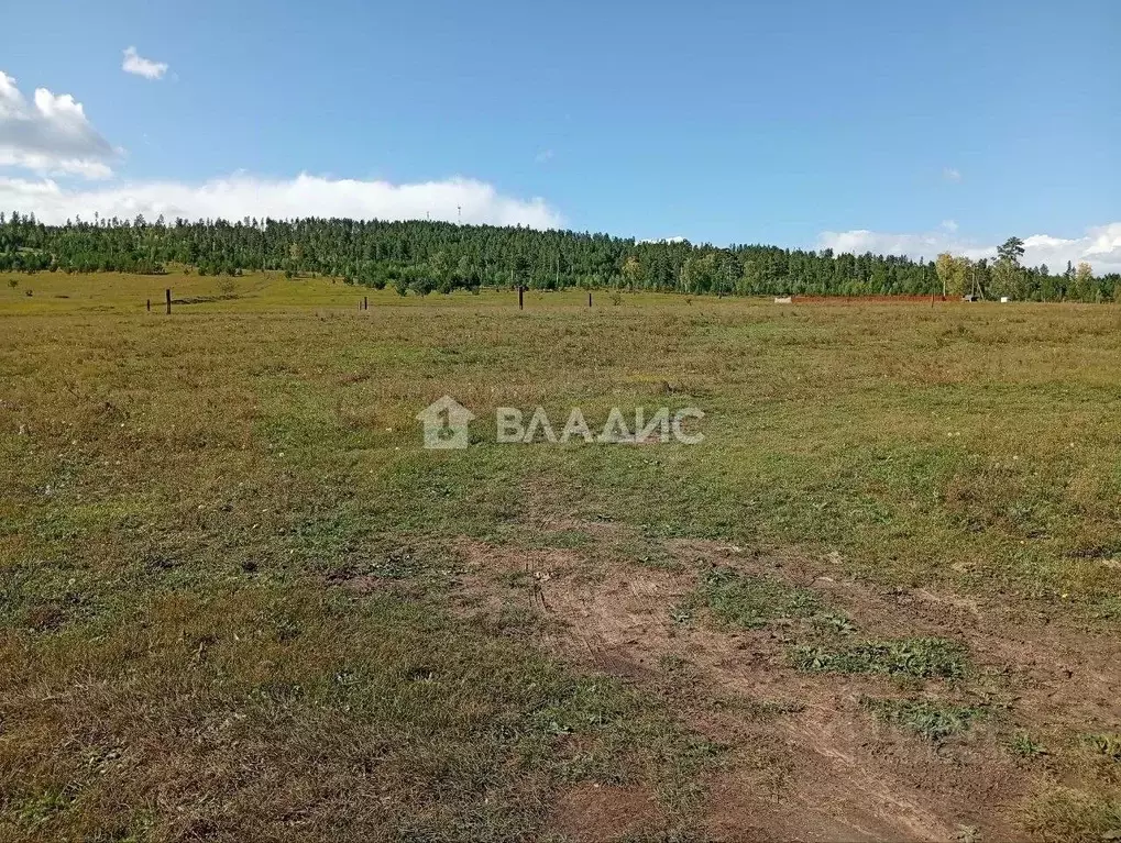 Участок в Забайкальский край, Читинский район, Новокручининский пгт  ... - Фото 1