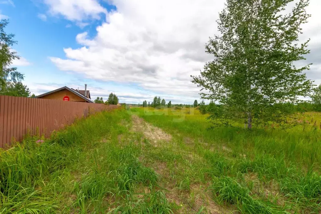 Участок в Тюменская область, Нижнетавдинский муниципальный округ, ... - Фото 1