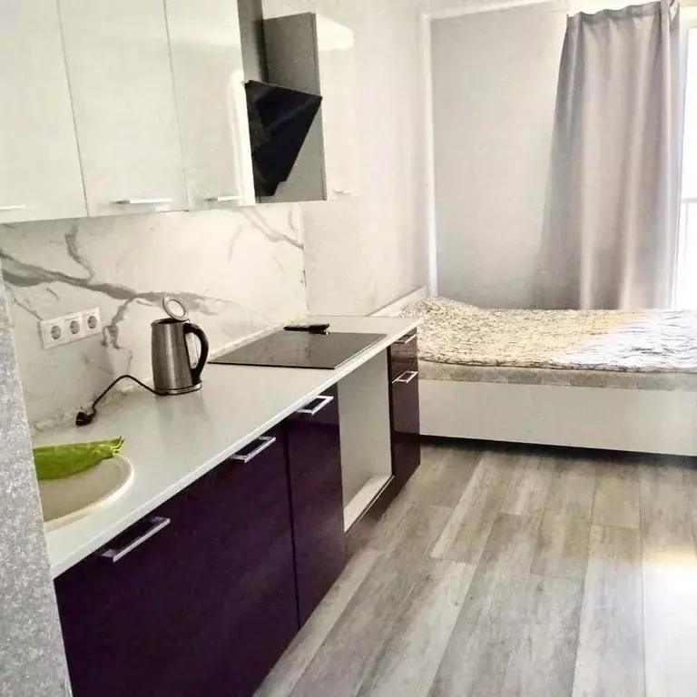 1-к кв. Московская область, Одинцово Северная ул., 5к2 (30.0 м) - Фото 1