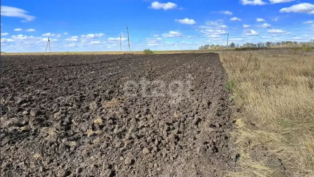 Участок в Белгородская область, Красногвардейский район, ... - Фото 2