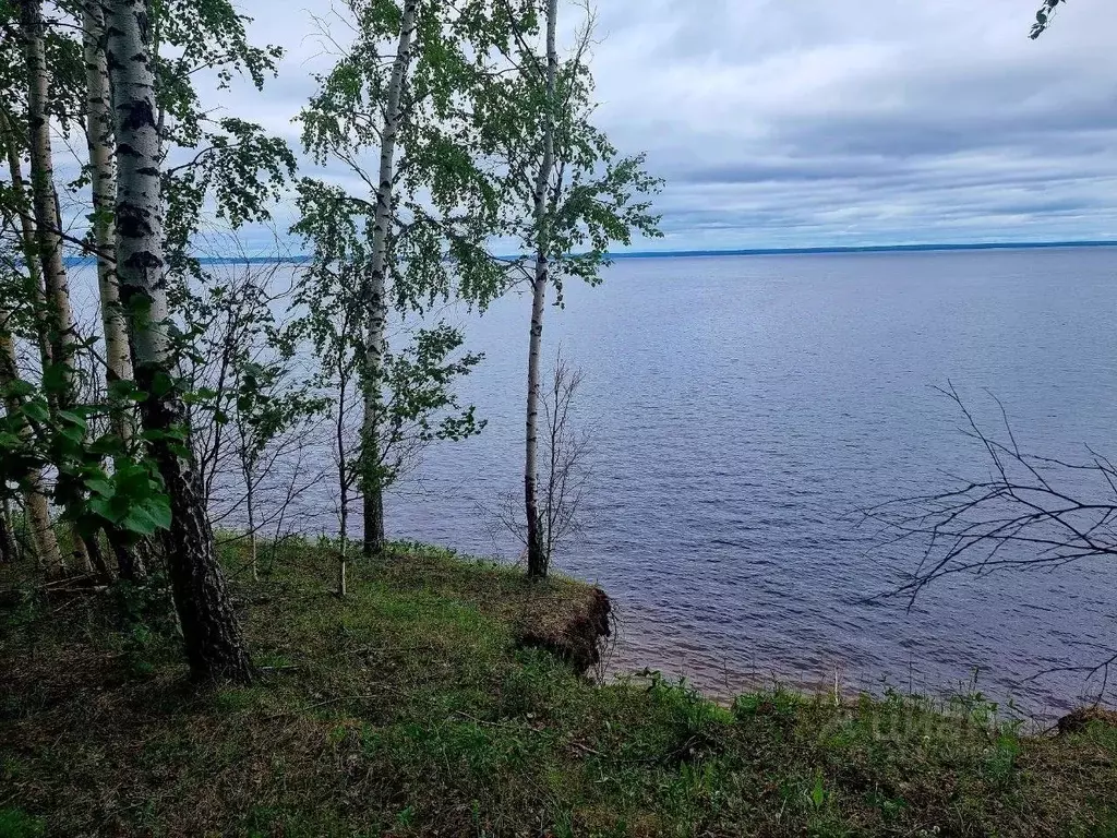 Участок в Пермский край, Добрянский городской округ, пос. Бор-Ленва ... - Фото 0
