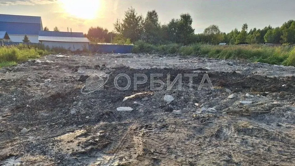 Участок в Тюменская область, Тюмень Садовое товарищество Липовый ... - Фото 2