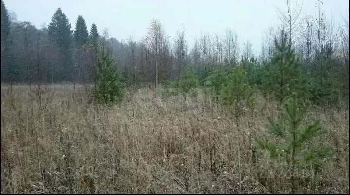 Участок в Кировская область, Киров городской округ, д. Чарушины  (10.5 ... - Фото 0