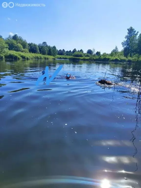 Дом в Вологодская область, Череповецкий муниципальный округ, деревня ... - Фото 1