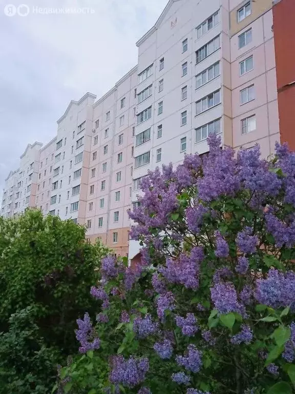 1-комнатная квартира: Тверь, Кольцевая улица, 82 (39.4 м) - Фото 1