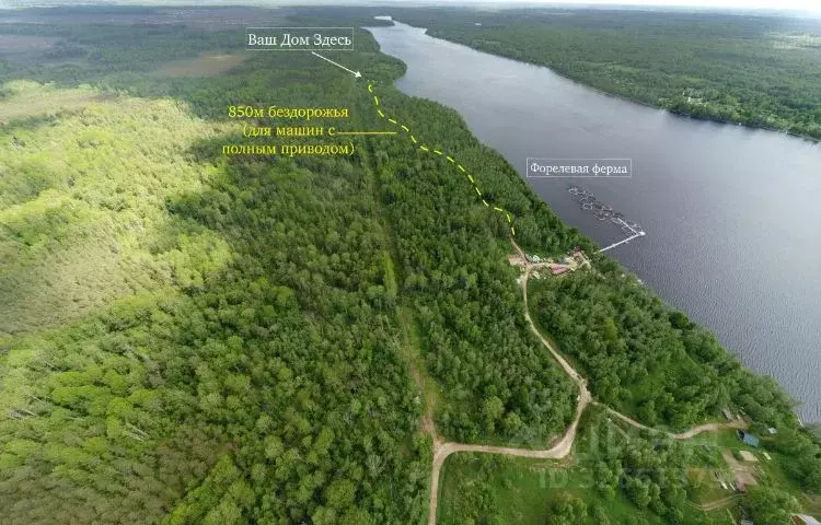 Дом в Ленинградская область, Лужский район, Осьминское с/пос, д. Извоз ... - Фото 2