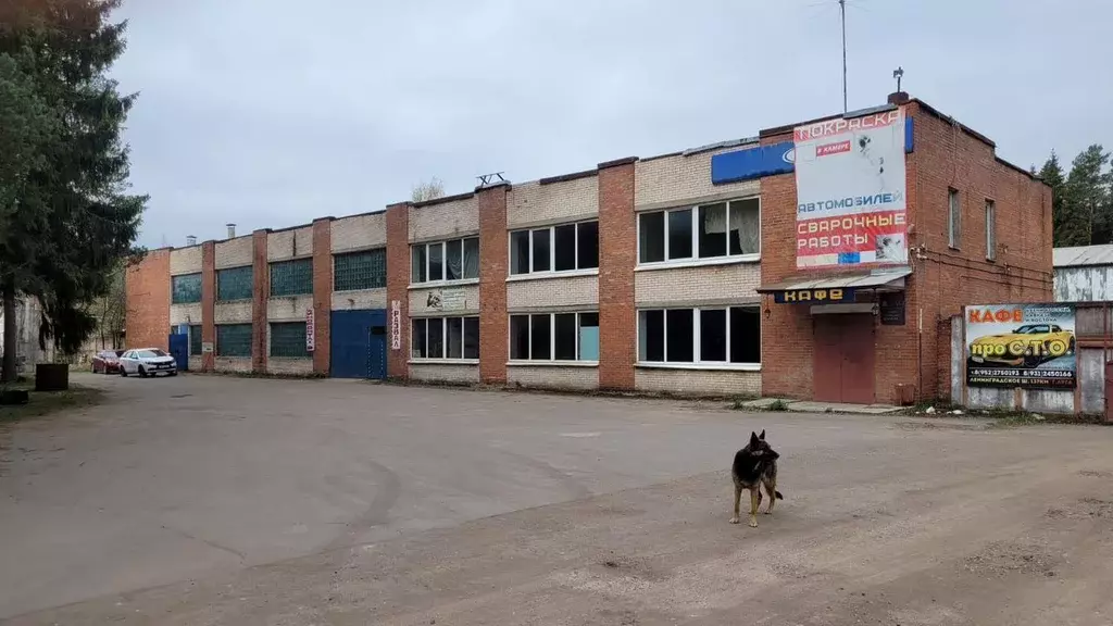 Помещение свободного назначения в Ленинградская область, Луга Шалово ... - Фото 1