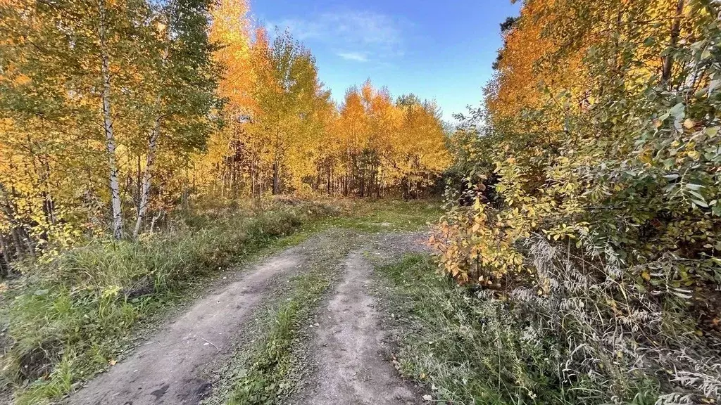 Участок в Иркутская область, Иркутский муниципальный округ, Раздолье-2 ... - Фото 2