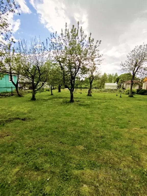 Участок в Тверская область, Конаковский муниципальный округ, ... - Фото 1