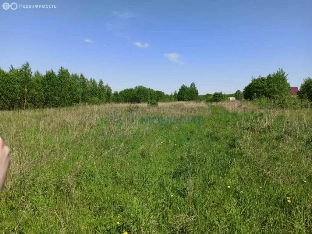 Участок в Нижегородская область, Богородский муниципальный округ, село ... - Фото 1