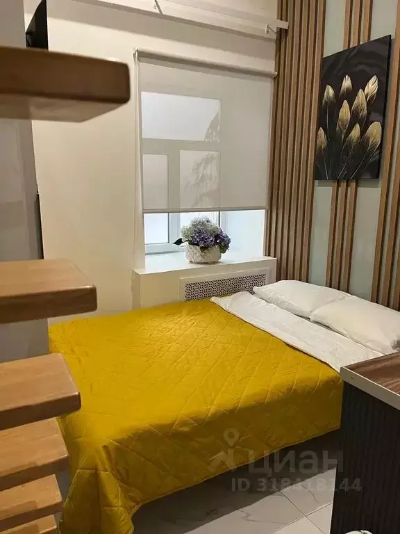 Студия Санкт-Петербург Невский просп., 109 (13.0 м) - Фото 0