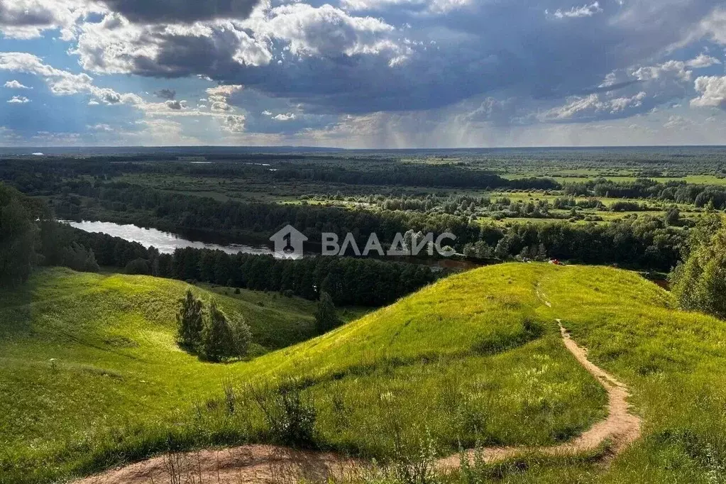 Участок в Владимирская область, Гороховецкий район, Куприяновское ... - Фото 1