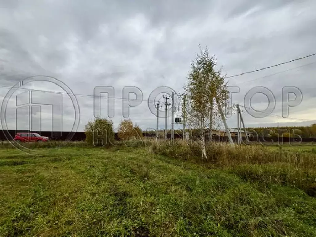 Продается участок в д. Мерлеево - Фото 2