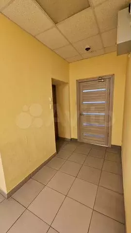Офис, 115.5 м Смоленск Николаева 74 - Фото 0