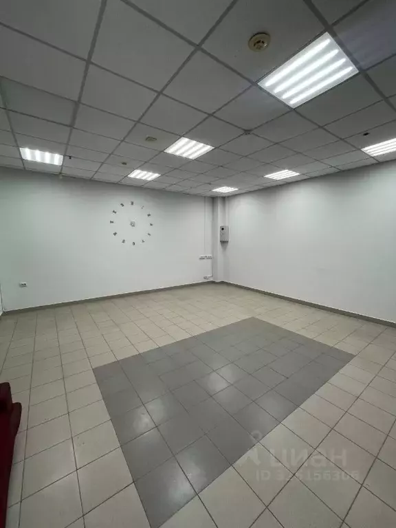 Офис в Новосибирская область, Новосибирск ул. Галущака, 2А (36 м) - Фото 2