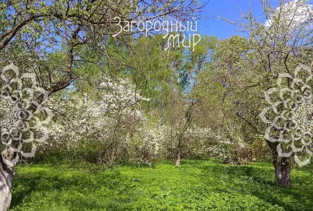 Участок в Московская область, Балашиха Салтыковка мкр, Октябрьская ул. ... - Фото 1