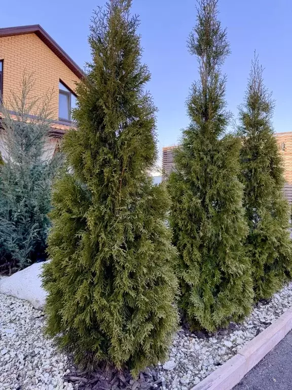 Коттедж в Тверская область, Тверь Тракторная ул., 29/16 (160 м) - Фото 2