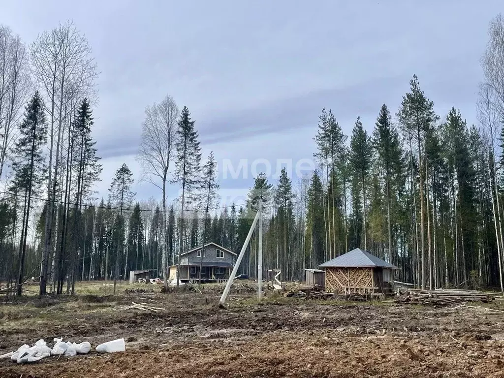 Участок в Коми, Сыктывкар ул. 12-я Линия (12.7 сот.) - Фото 1