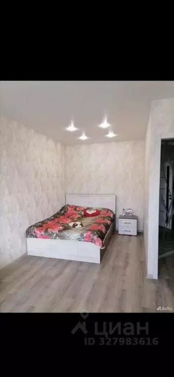 1-к кв. Липецкая область, Липецк ул. И.В. Свиридова, 20к1 (41.5 м) - Фото 2