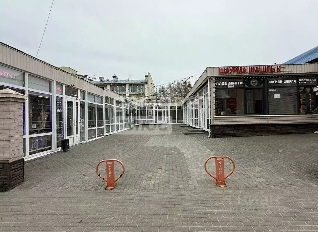 Помещение свободного назначения в Московская область, Ногинск ... - Фото 1