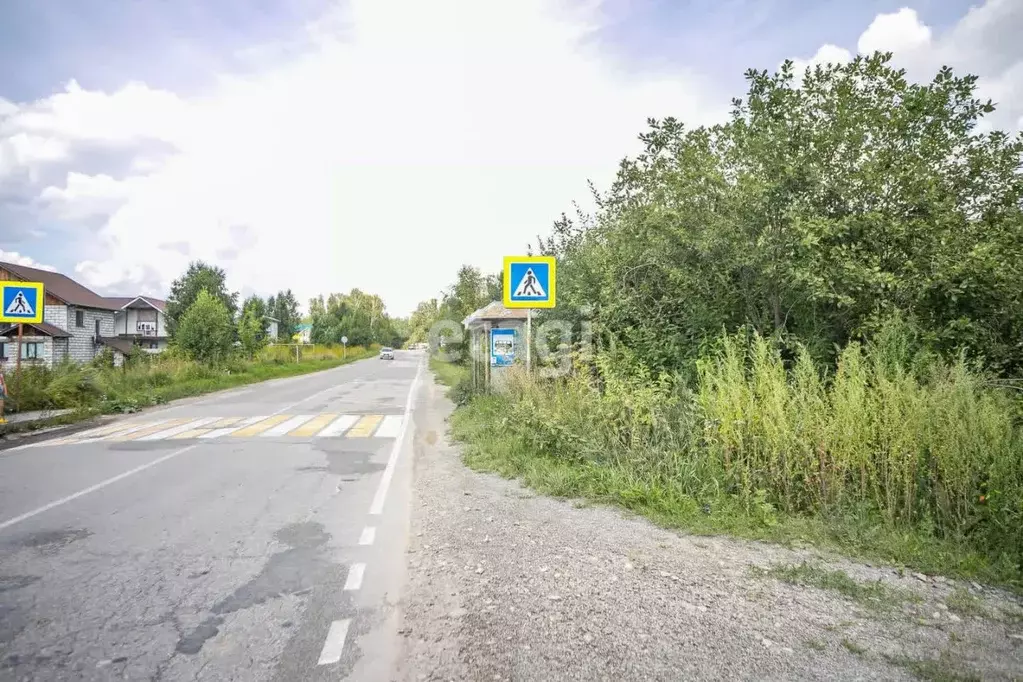Участок в Новосибирская область, Новосибирский район, Барышевский ... - Фото 1
